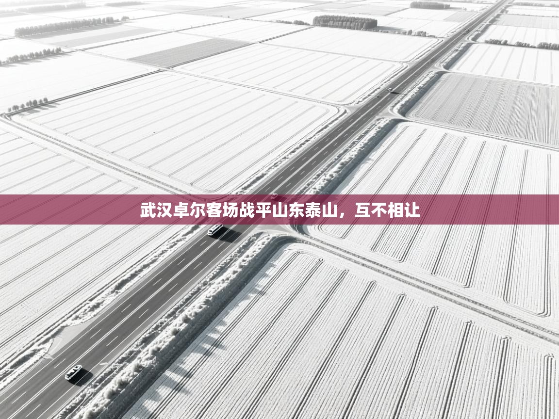 云开体育app网页版入口-武汉卓尔客场战平山东泰山，互不相让  第3张