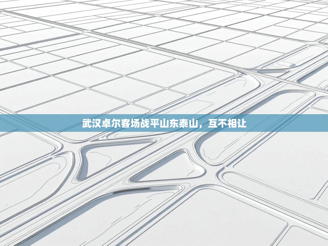 云开体育app网页版入口-武汉卓尔客场战平山东泰山，互不相让  第2张