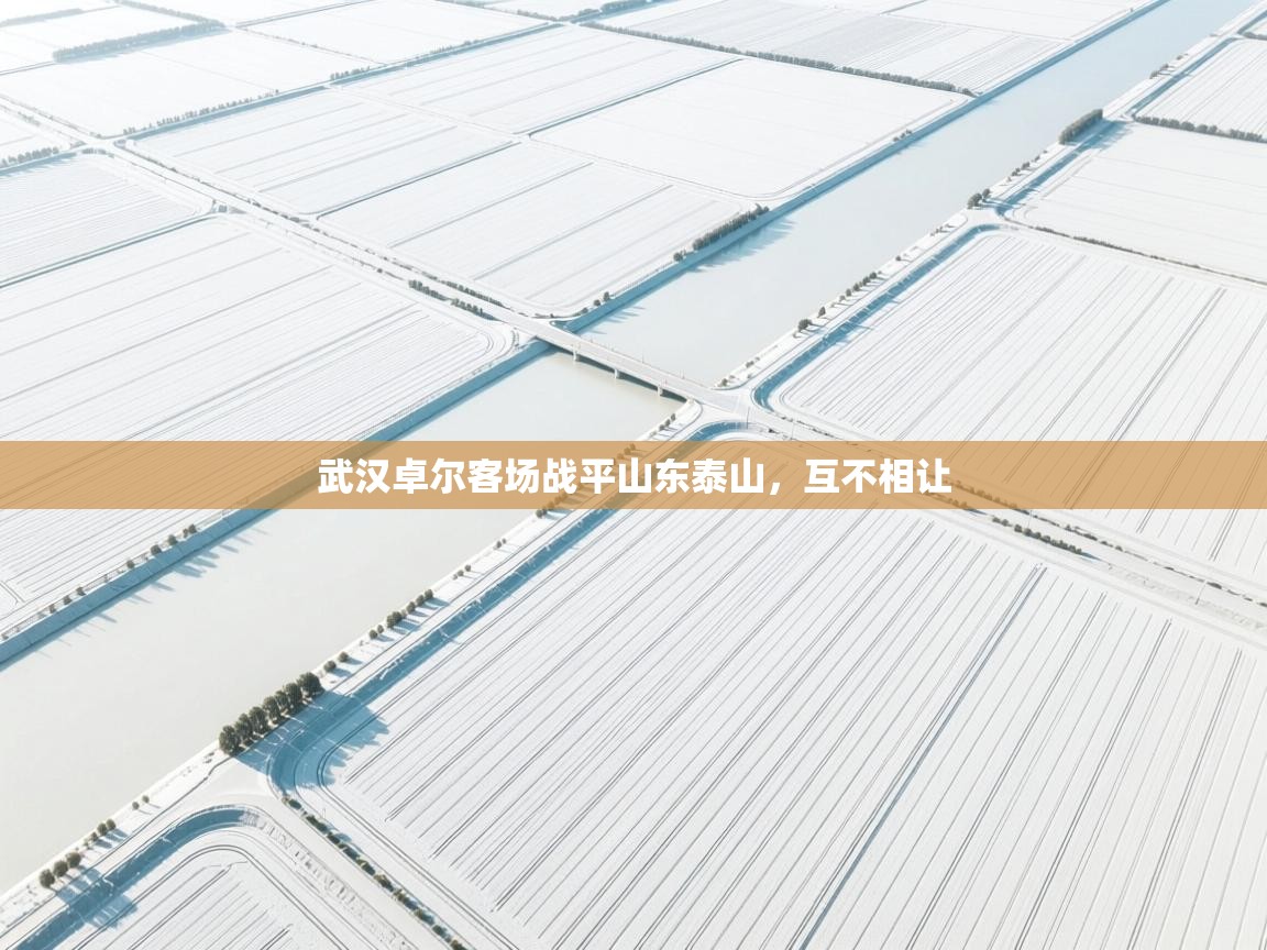 云开体育app网页版入口-武汉卓尔客场战平山东泰山，互不相让  第4张